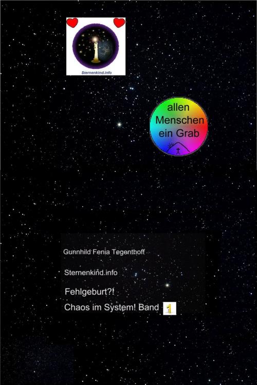 Cover of the book Fehlgeburt? Chaos im System! Band 1 by Gunnhild Fenia Tegenthoff, Morawa Lesezirkel