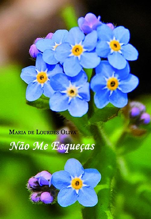 Cover of the book Não me esqueças by Maria de Lourdes Oliva, Editorial Bubok Publishing