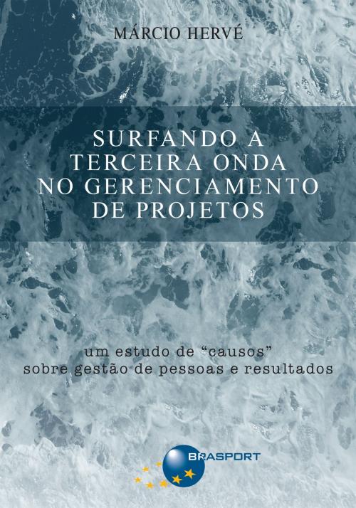 Cover of the book Surfando a Terceira Onda no Gerenciamento de Projetos by Márcio Hervé, BRASPORT