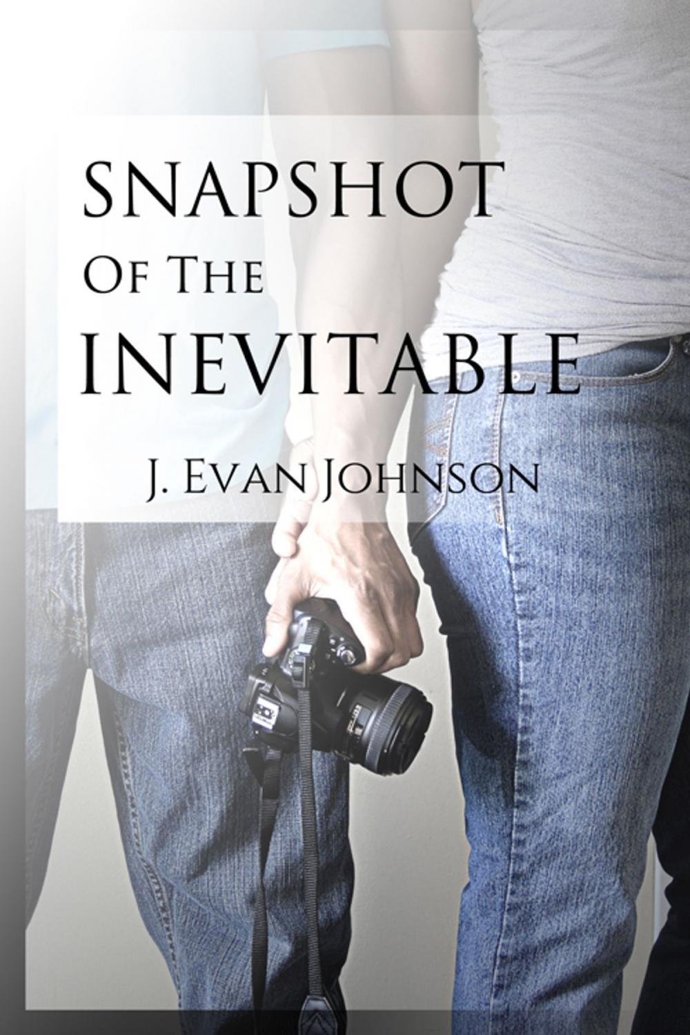 Big bigCover of Snapshot of the Inevitable