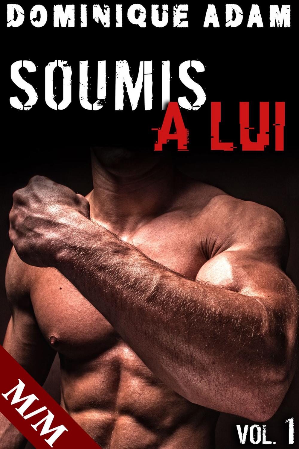 Big bigCover of SOUMIS À LUI (Vol. 1)