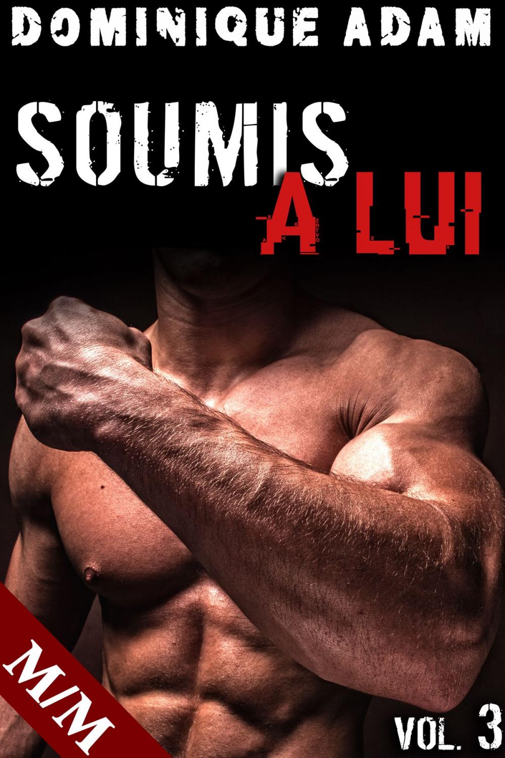 Big bigCover of SOUMIS À LUI (Vol. 3)