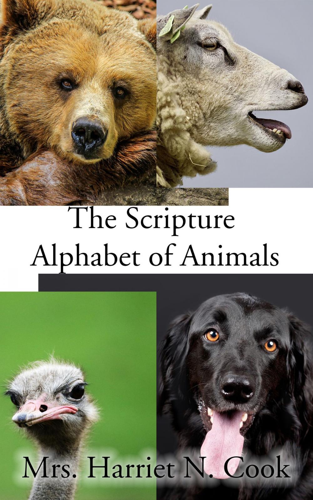 Big bigCover of The Scripture Alphabet of Animals