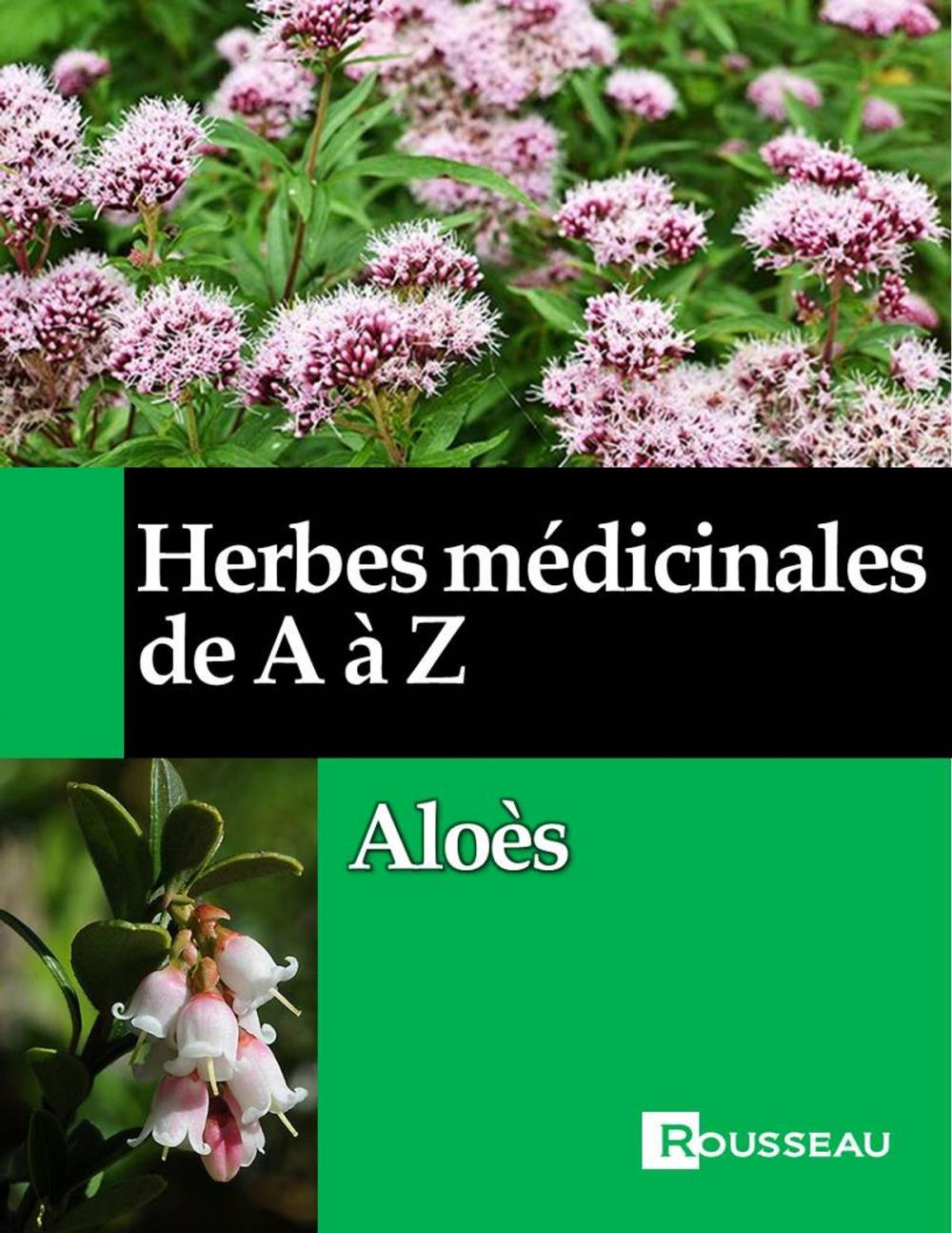 Big bigCover of Herbes médicinales de A à Z