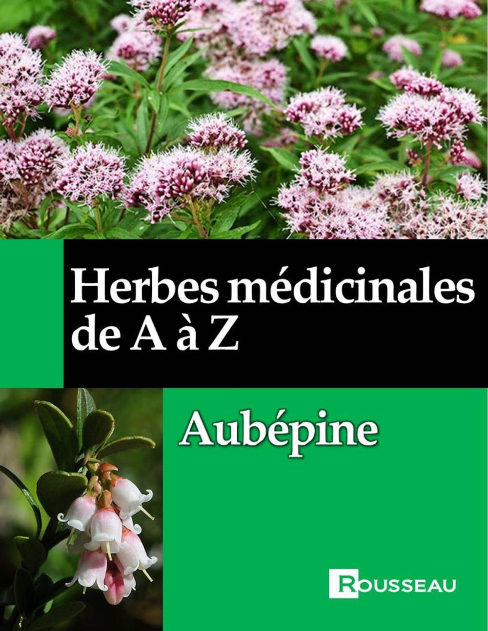 Big bigCover of Herbes médicinales de A à Z