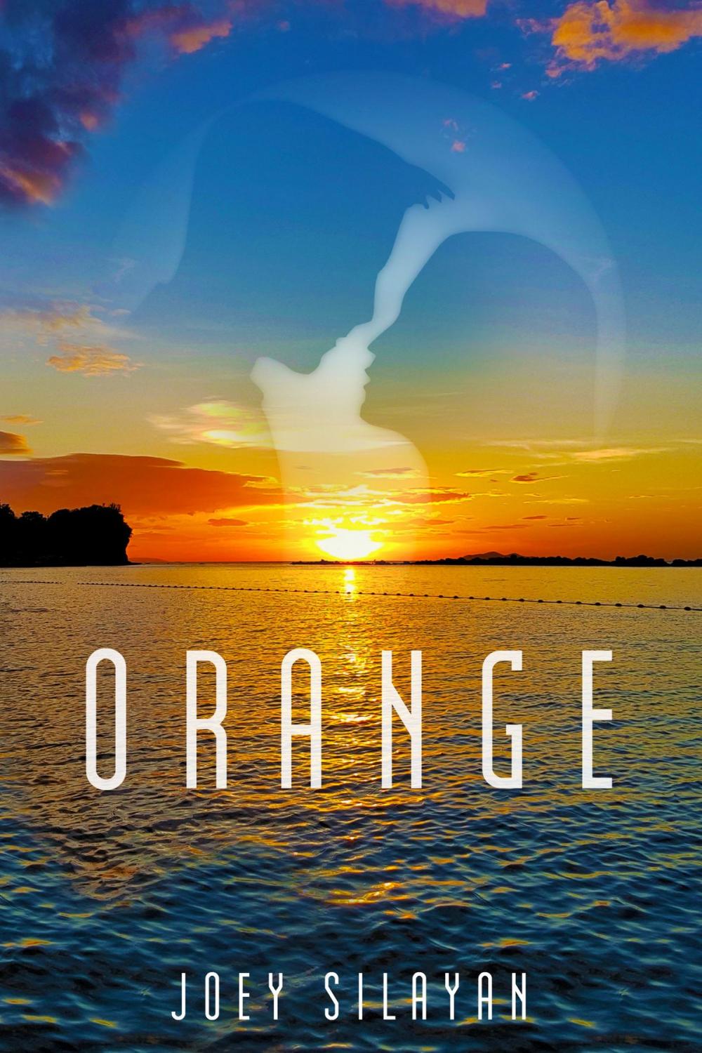 Big bigCover of Orange