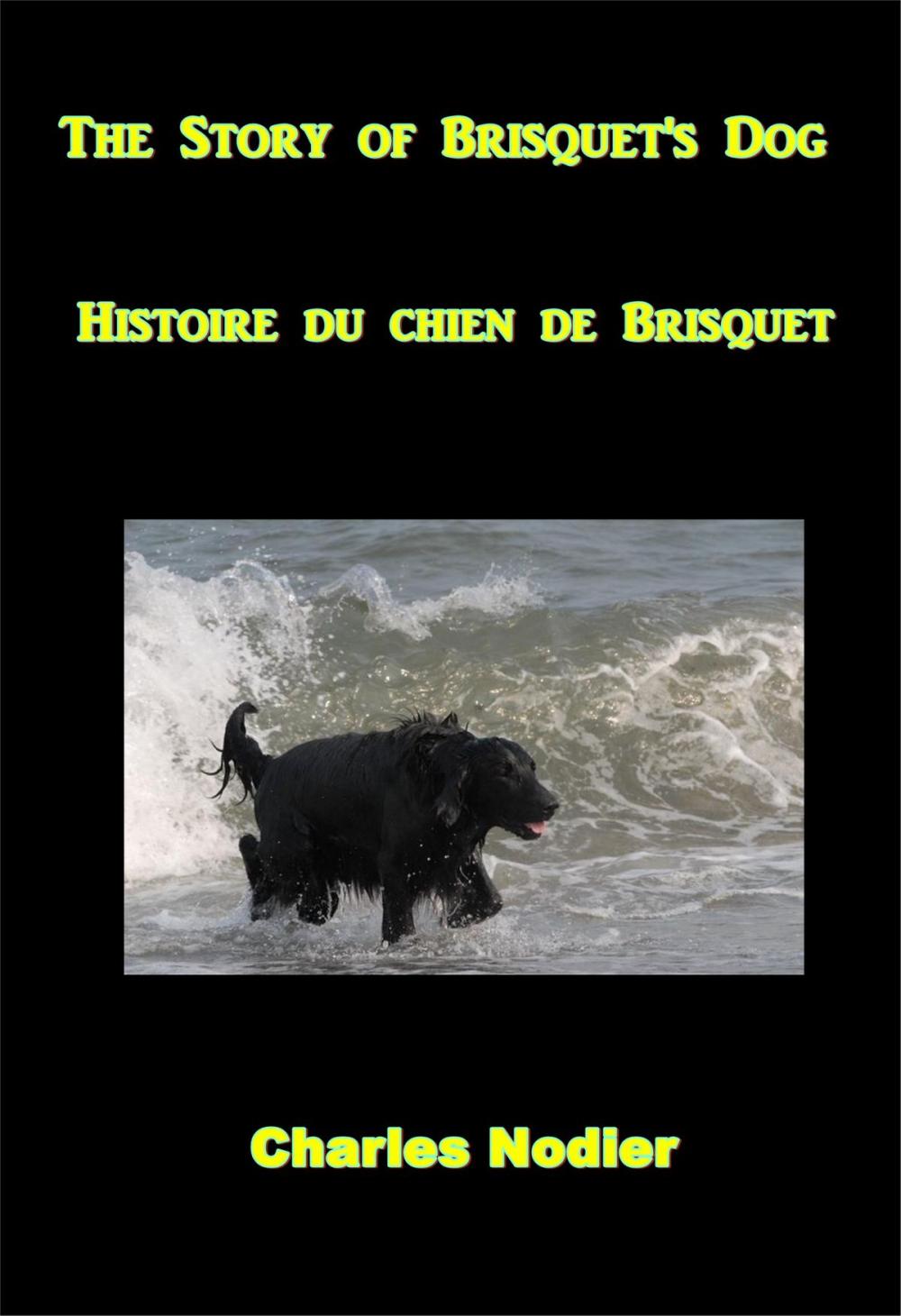 Big bigCover of The Story of Brisquet's Dog