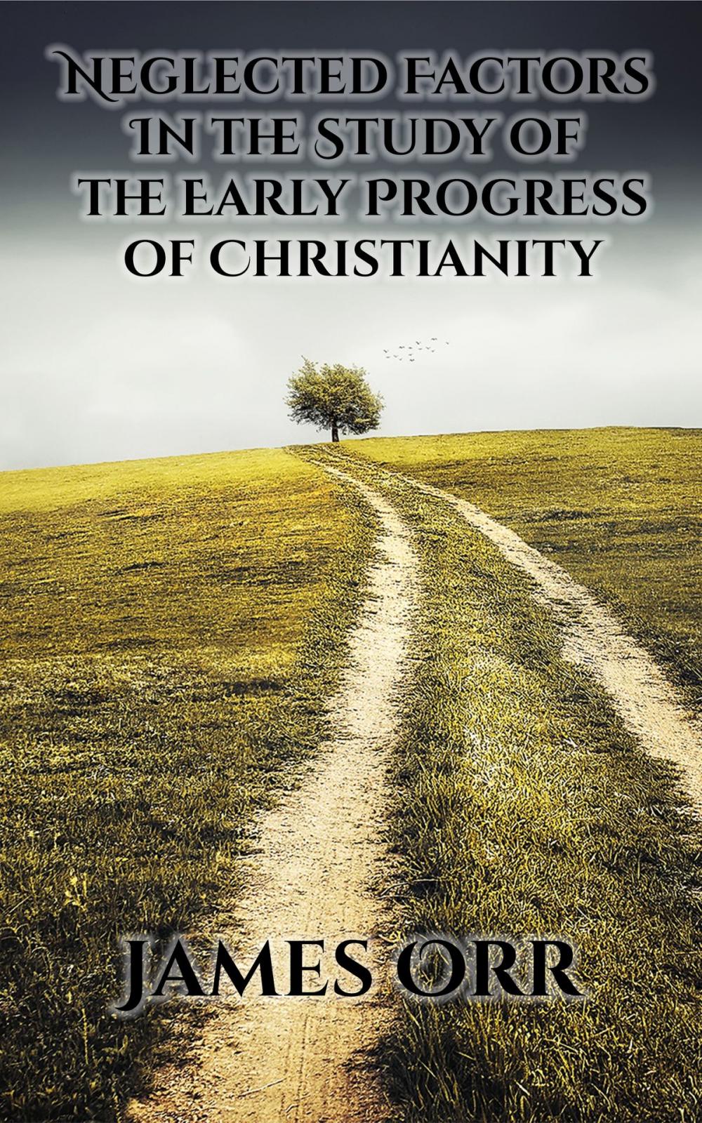 Big bigCover of Neglected Factors in the Study of the Early Progress of Christianity