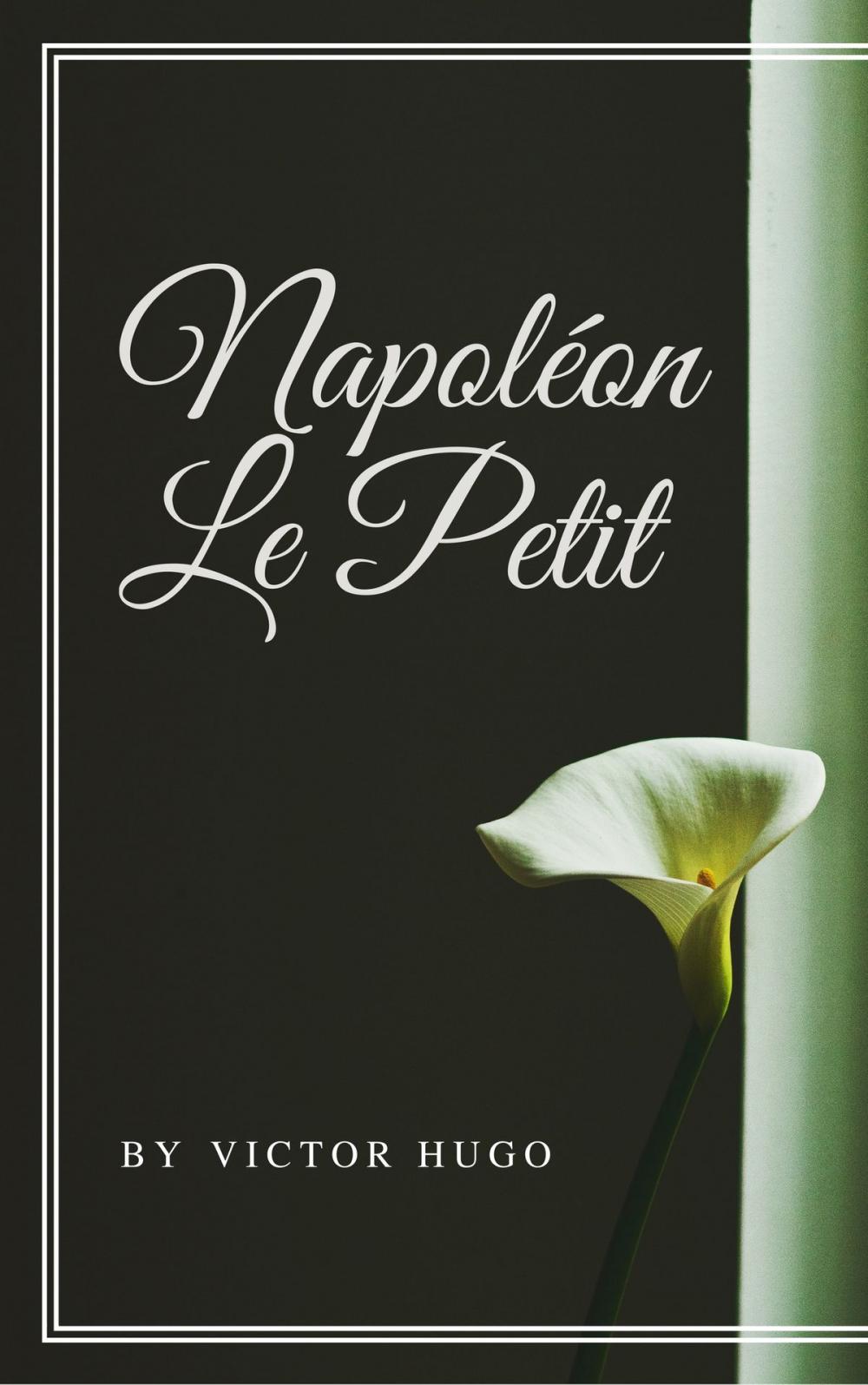 Big bigCover of Napoléon Le Petit (Annotée)