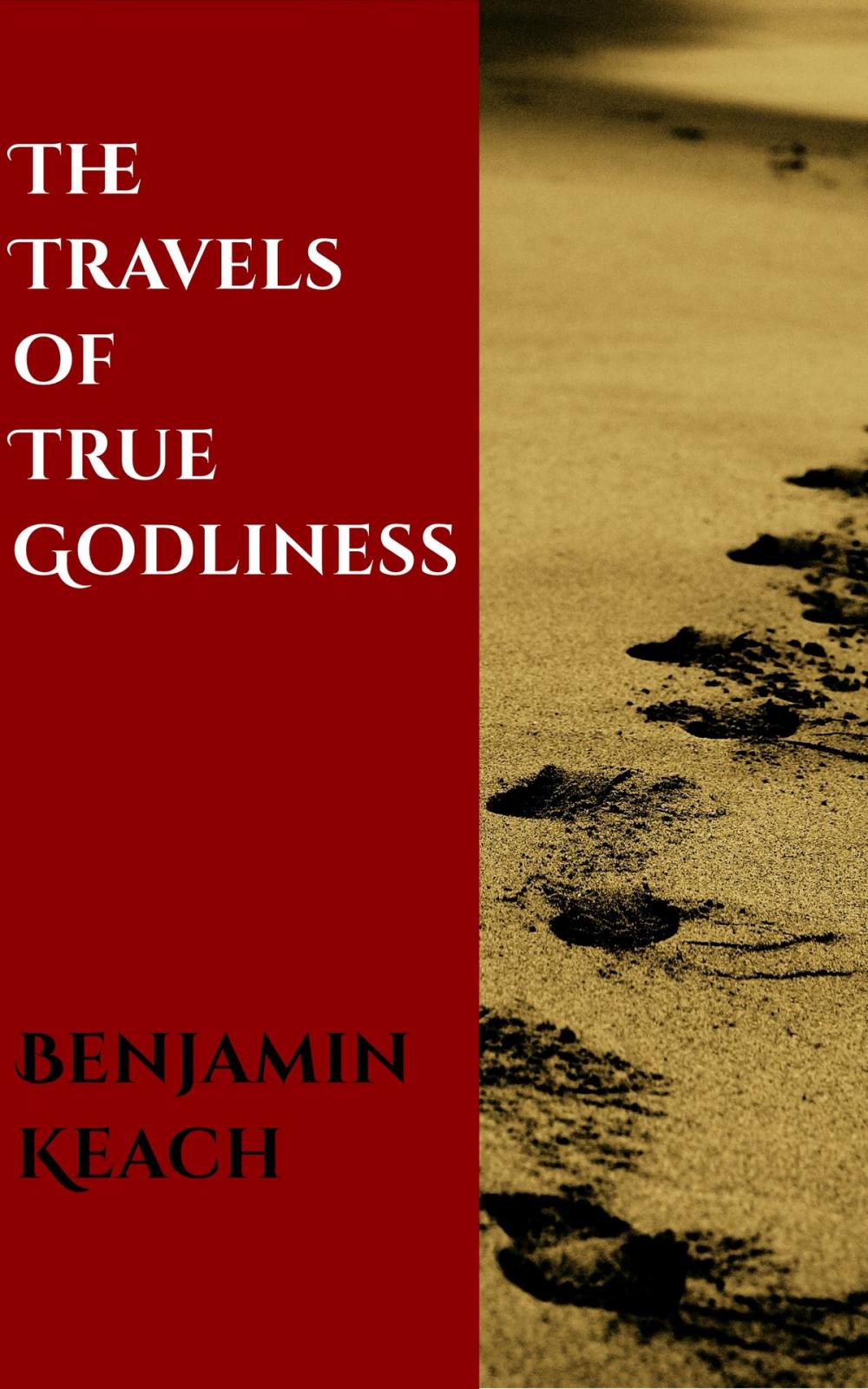 Big bigCover of The Travels of True Godliness