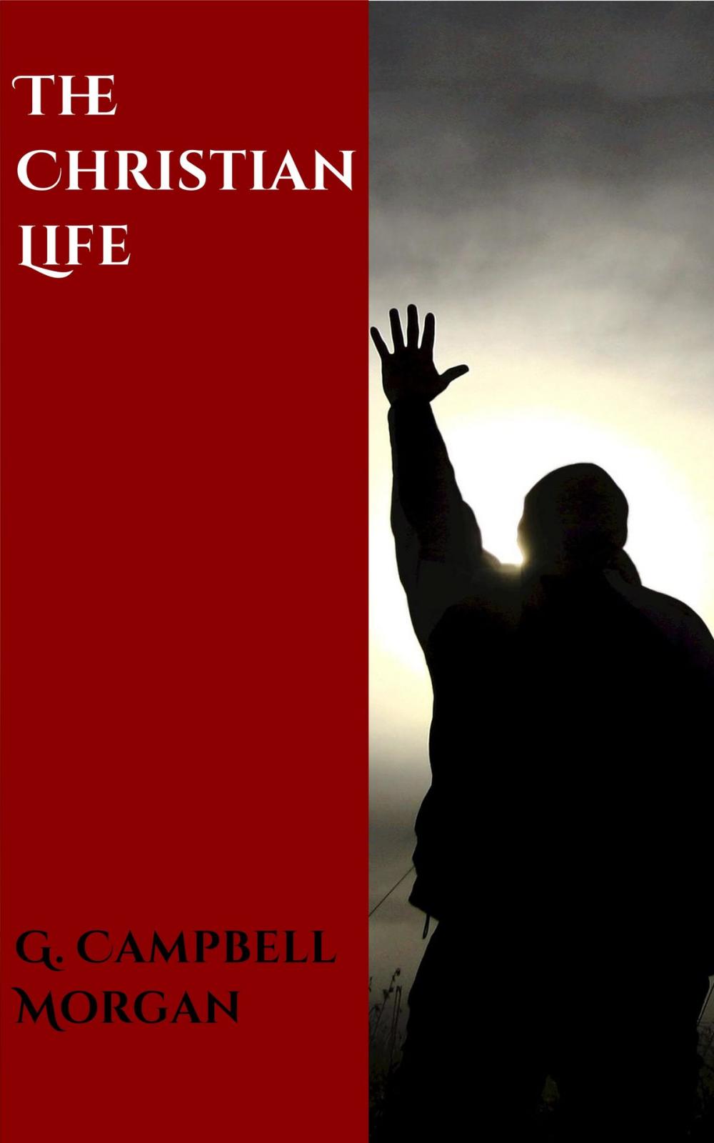 Big bigCover of The Christian Life