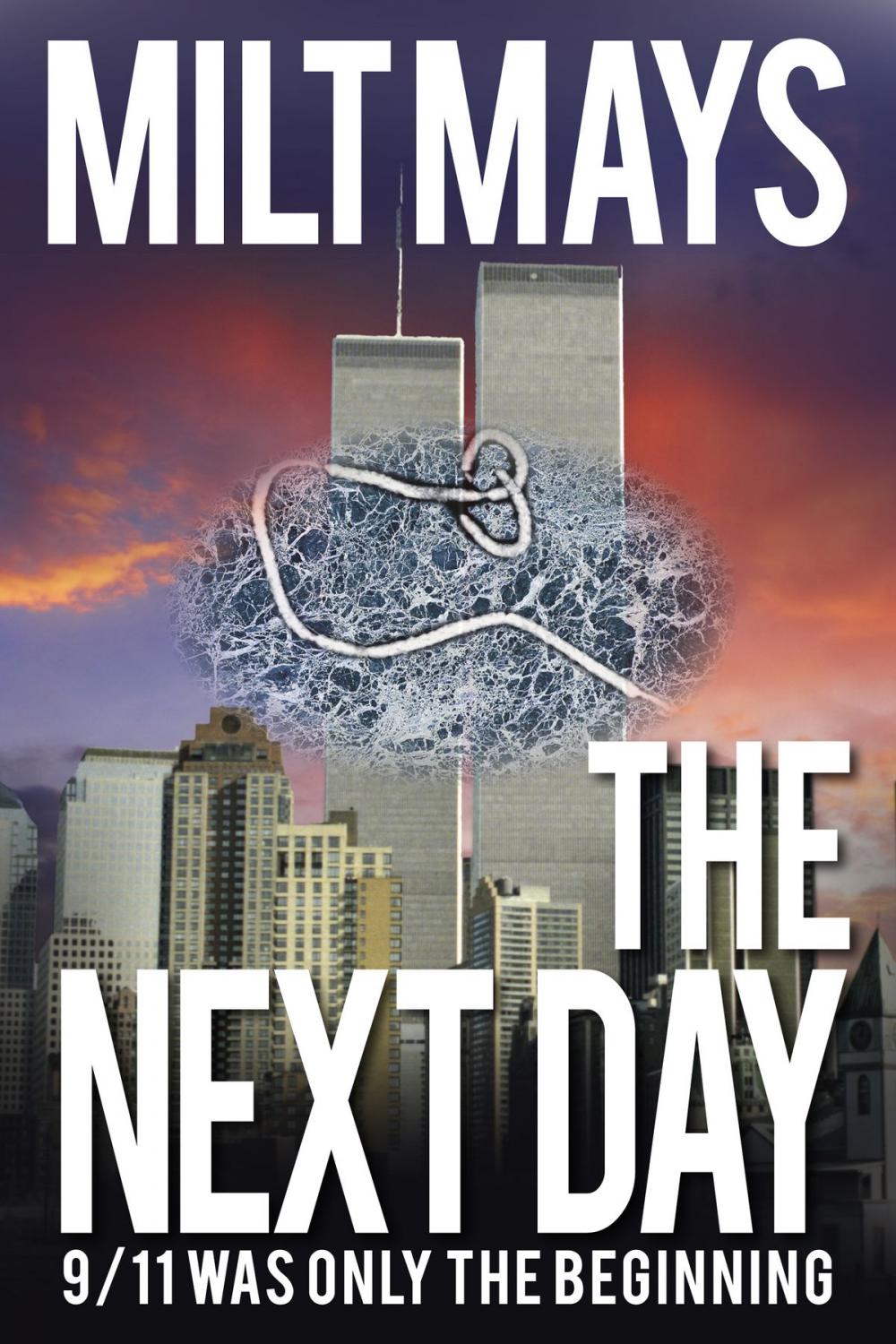 Big bigCover of The Next Day