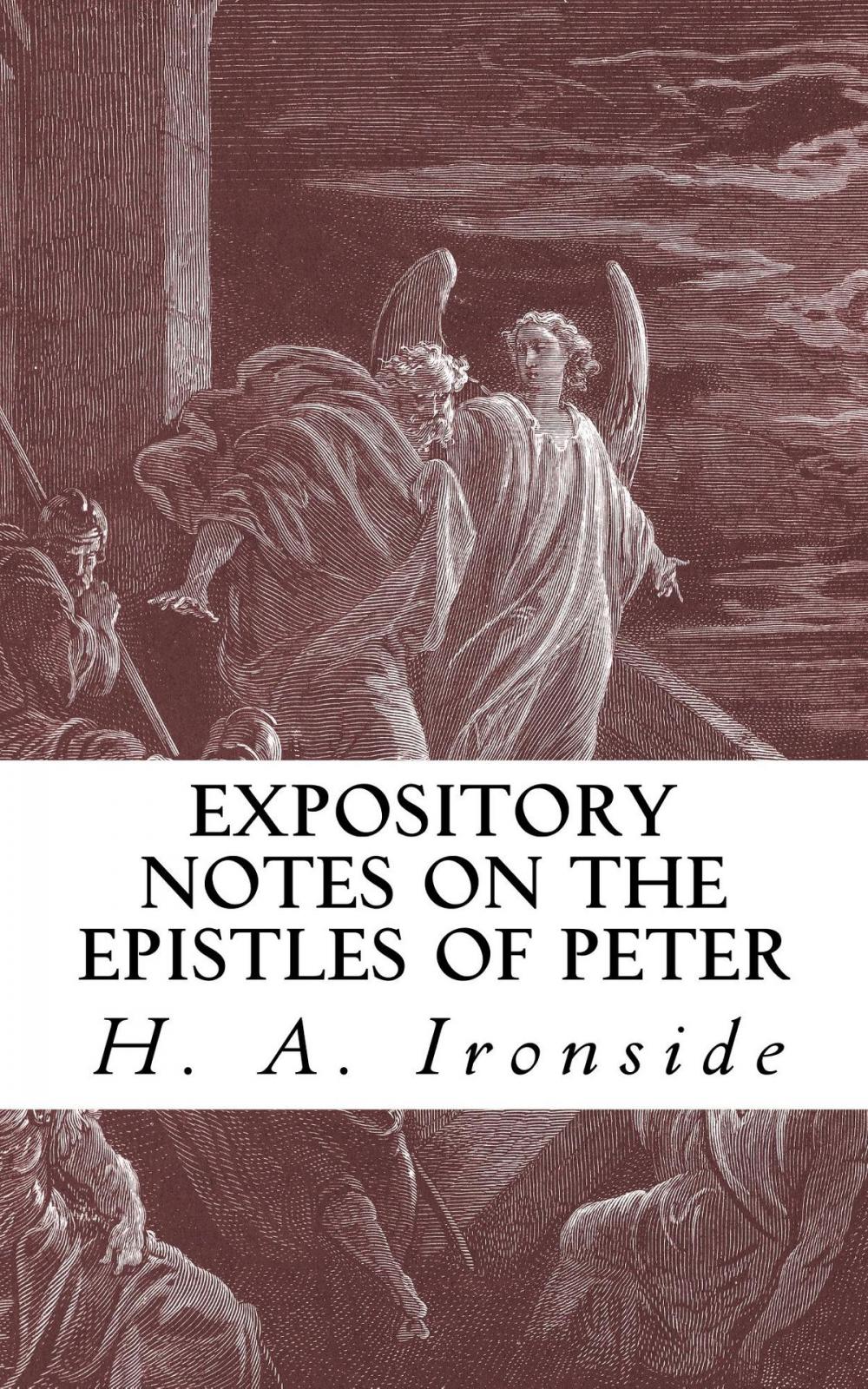 Big bigCover of Expository Notes on the Epistles of Peter