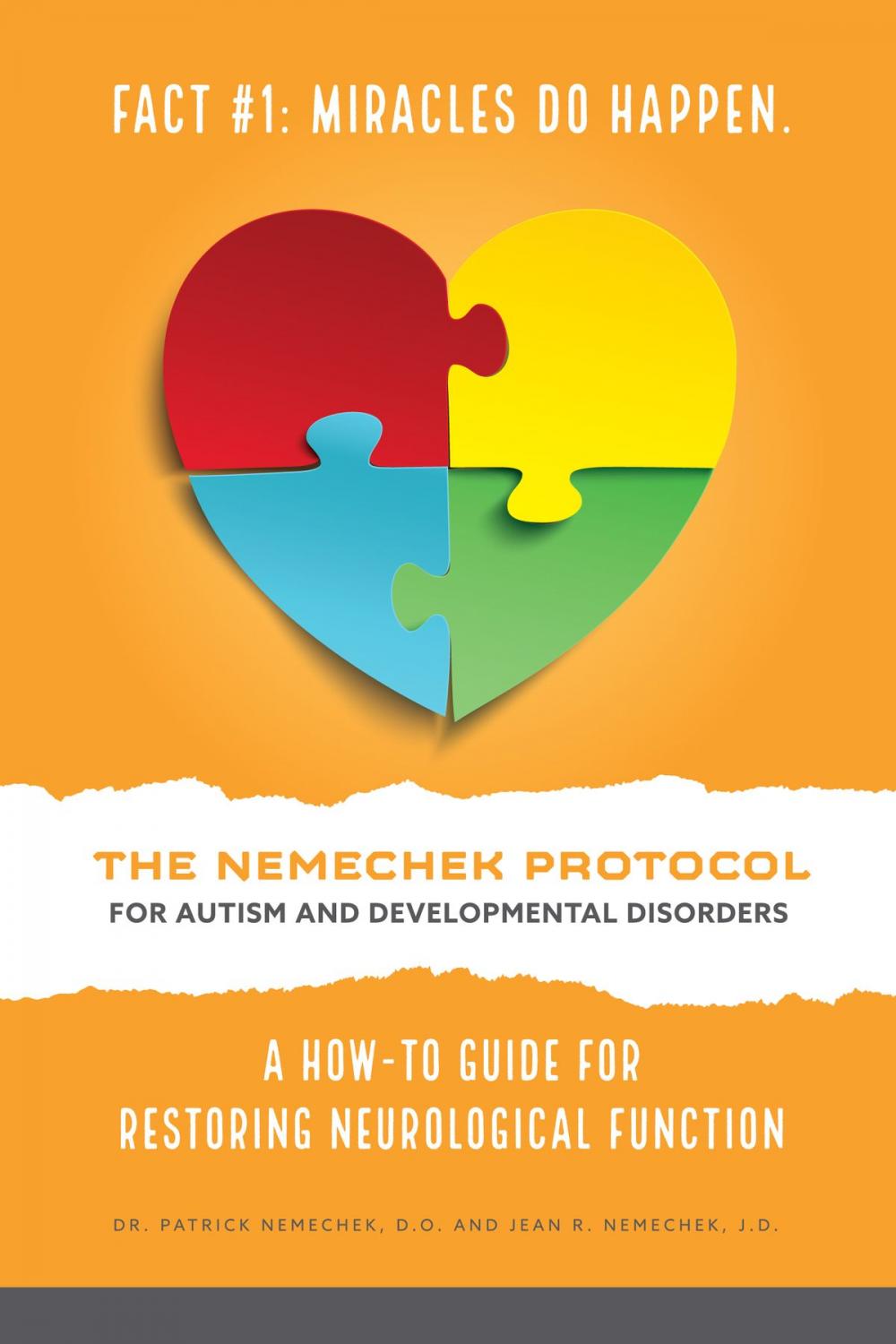 Big bigCover of The Nemechek Protocol for Autism and Developmental Disorders