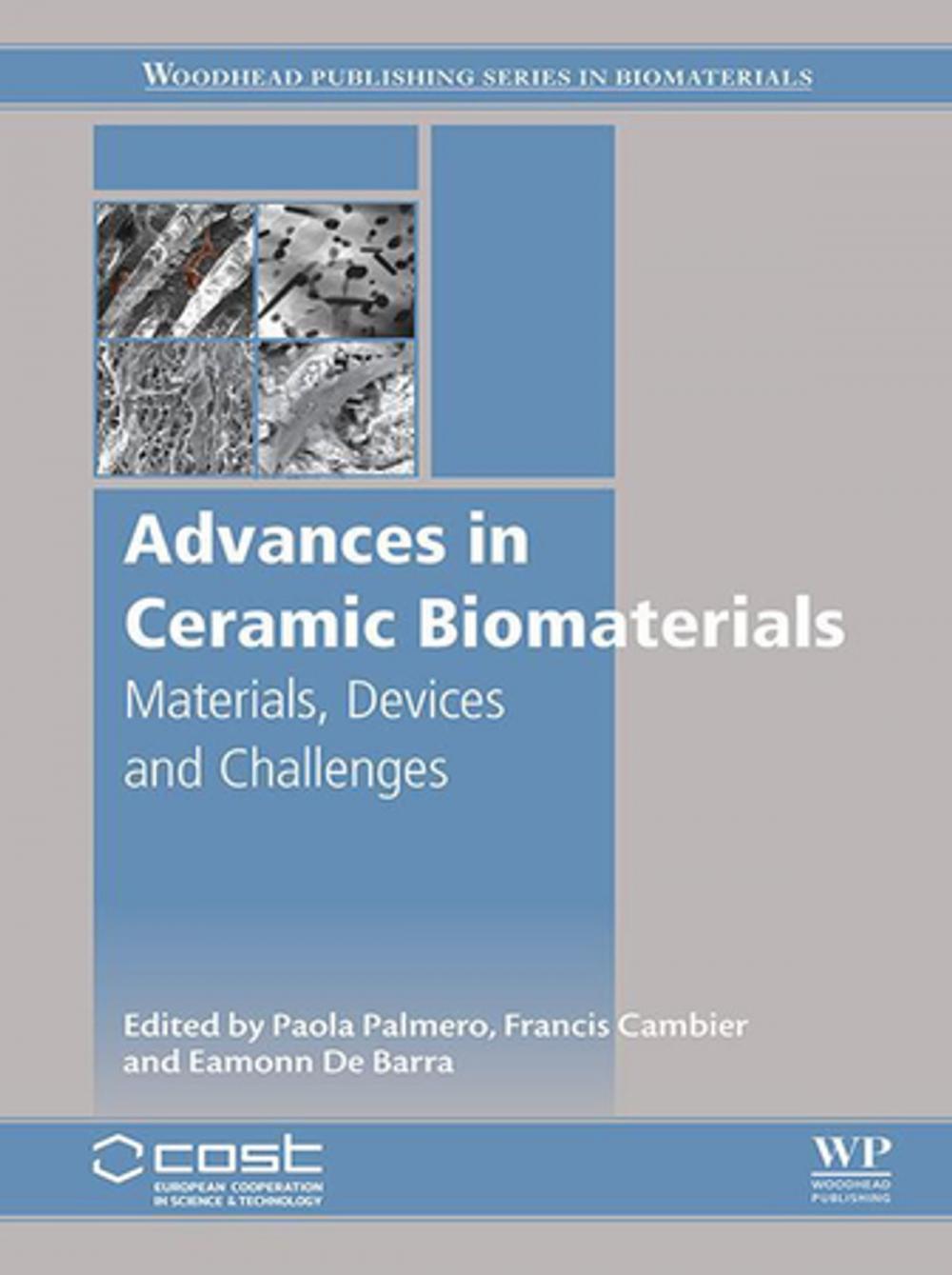 Big bigCover of Advances in Ceramic Biomaterials