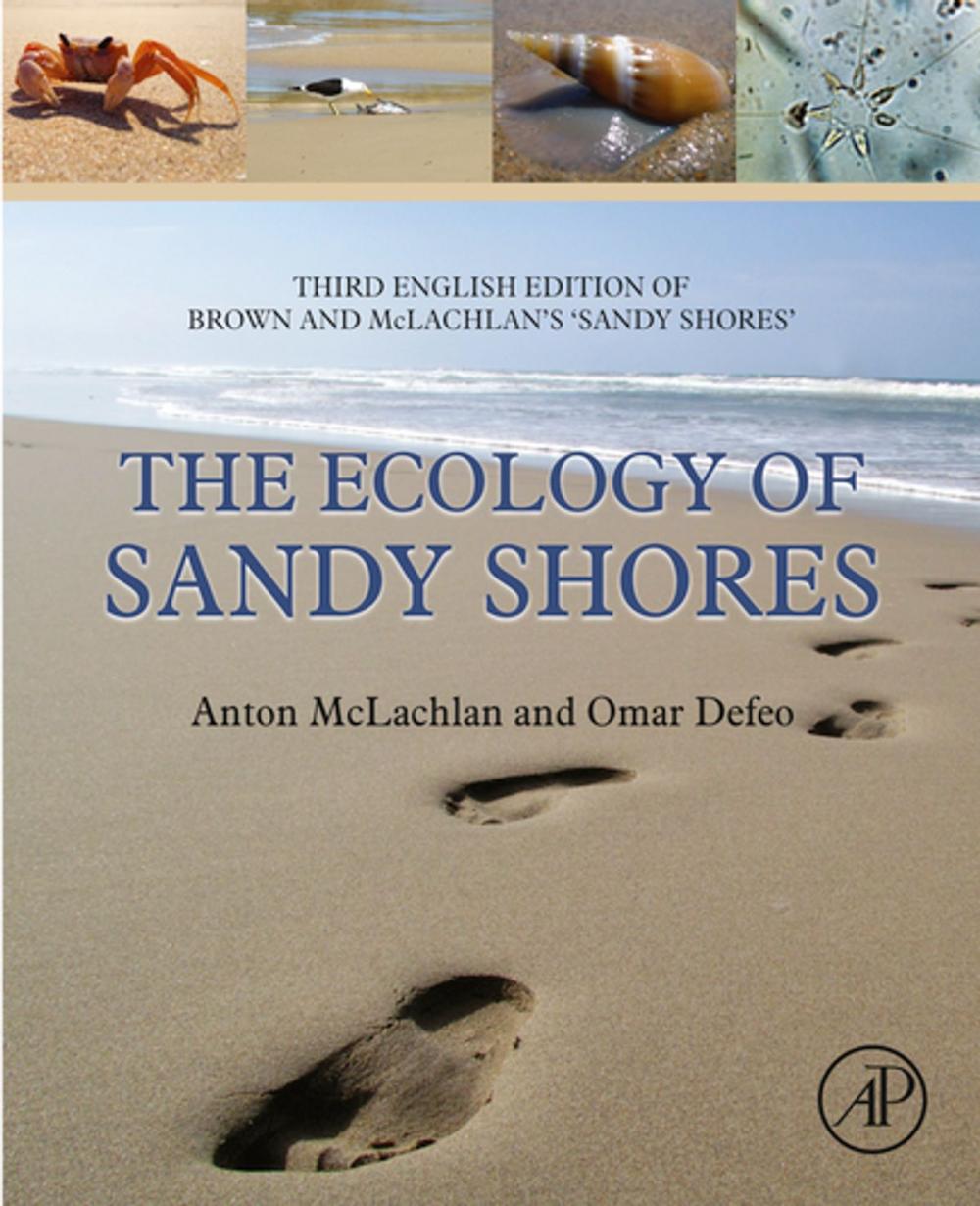 Big bigCover of The Ecology of Sandy Shores