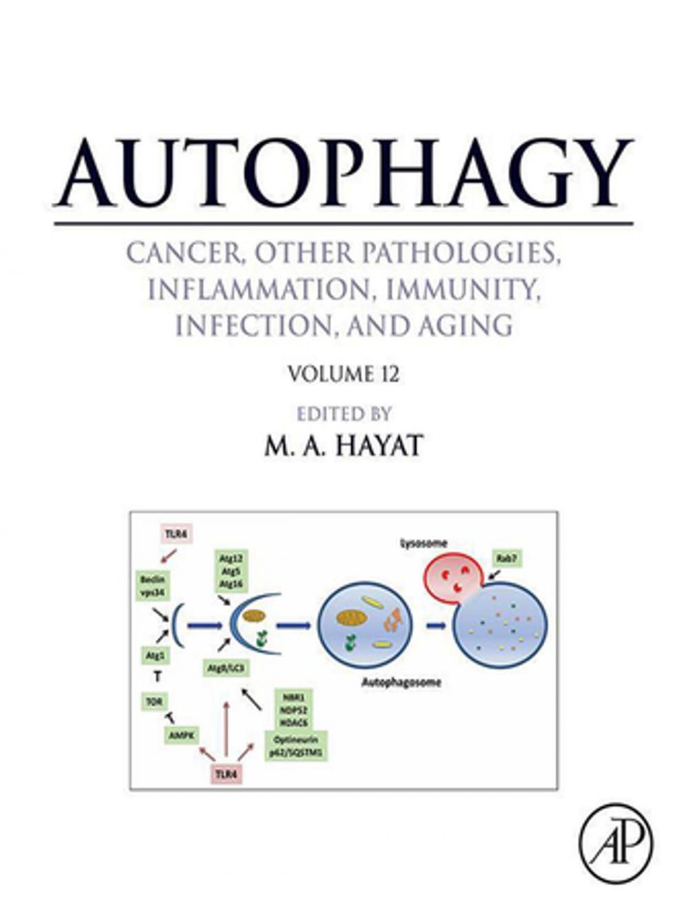 Big bigCover of Autophagy: Cancer, Other Pathologies, Inflammation, Immunity, Infection, and Aging