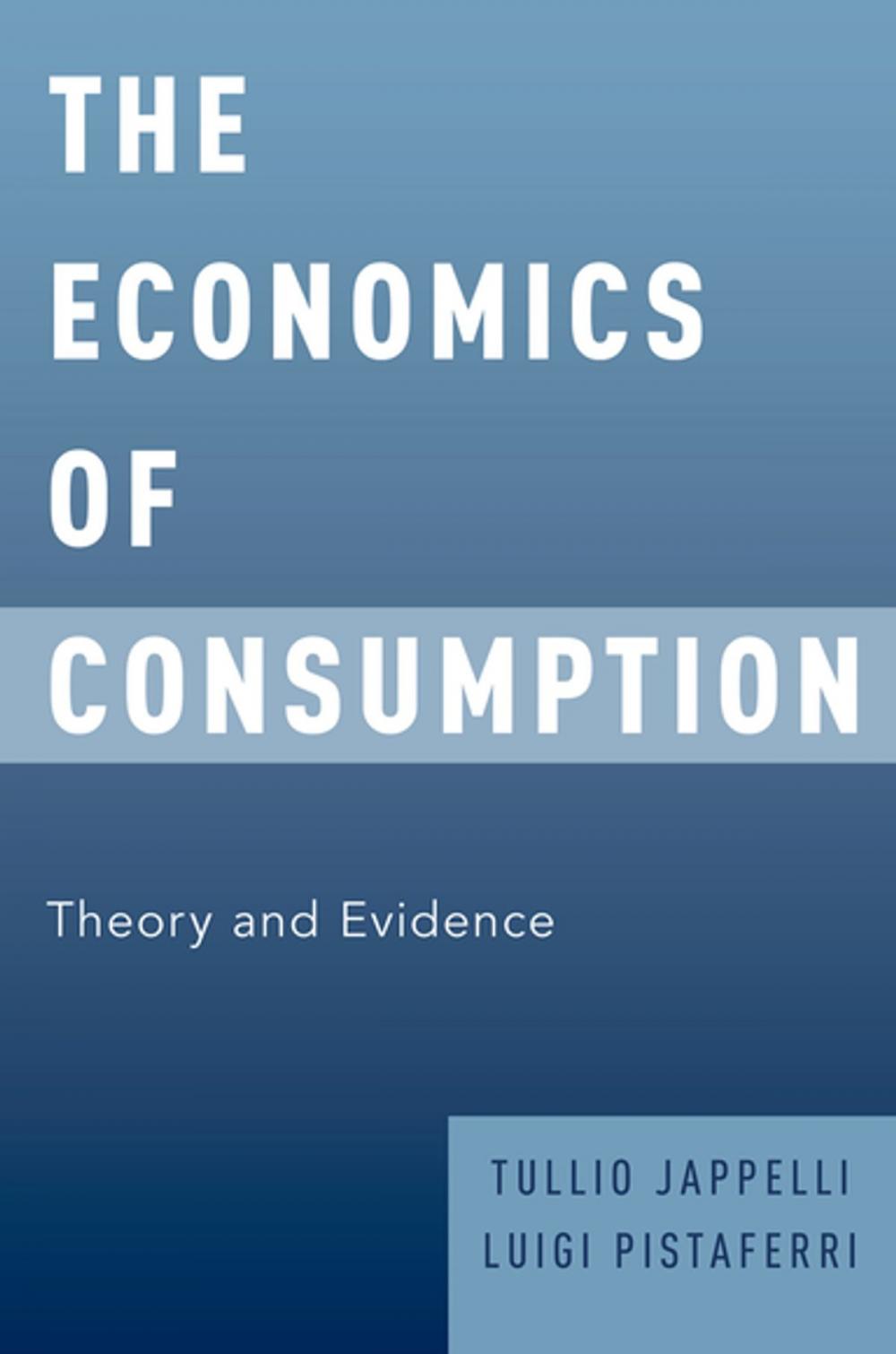 Big bigCover of The Economics of Consumption