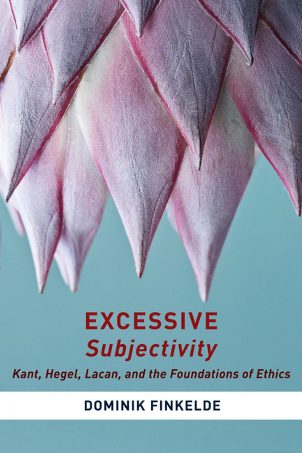 Big bigCover of Excessive Subjectivity