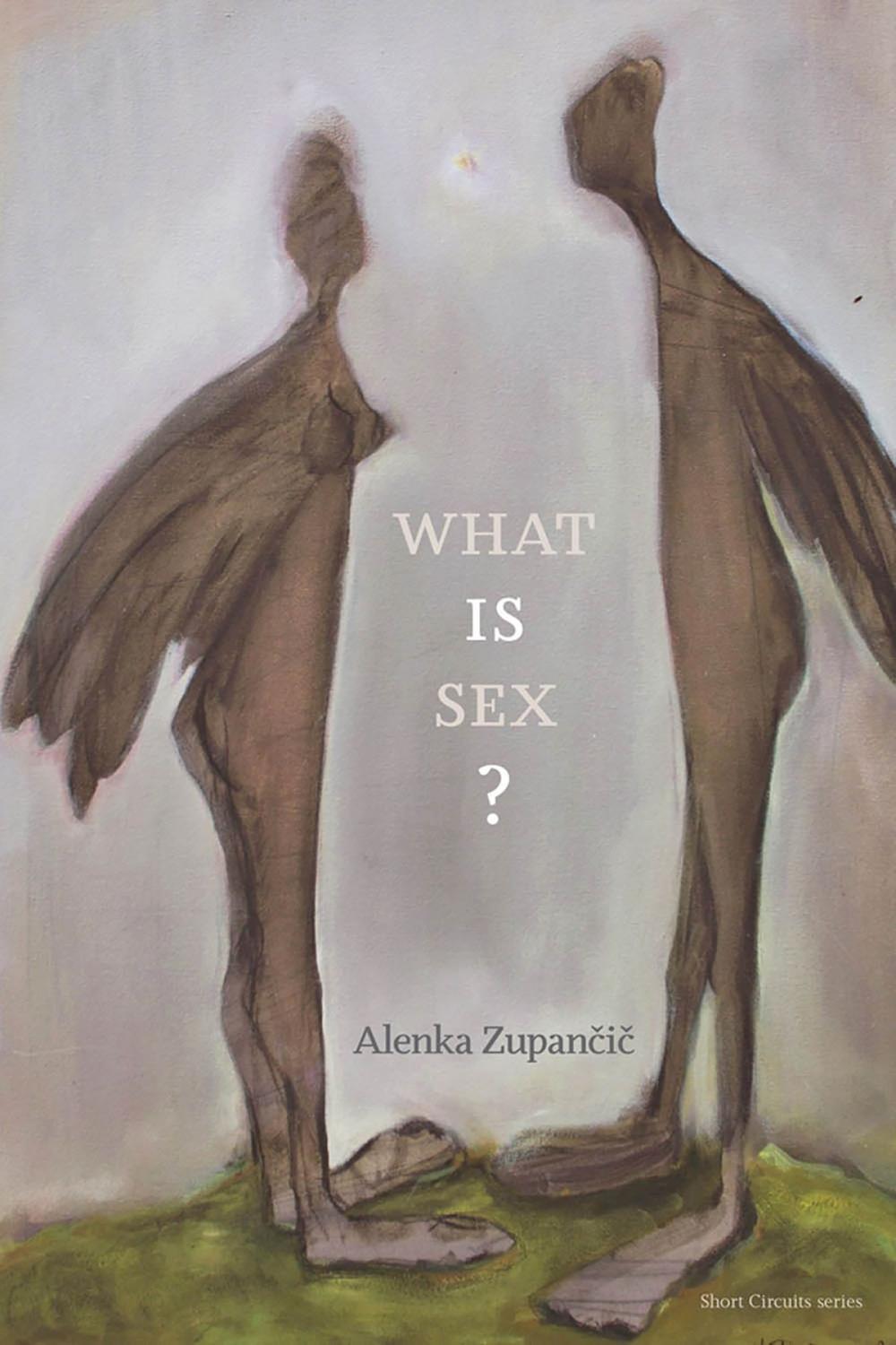 Big bigCover of What IS Sex?