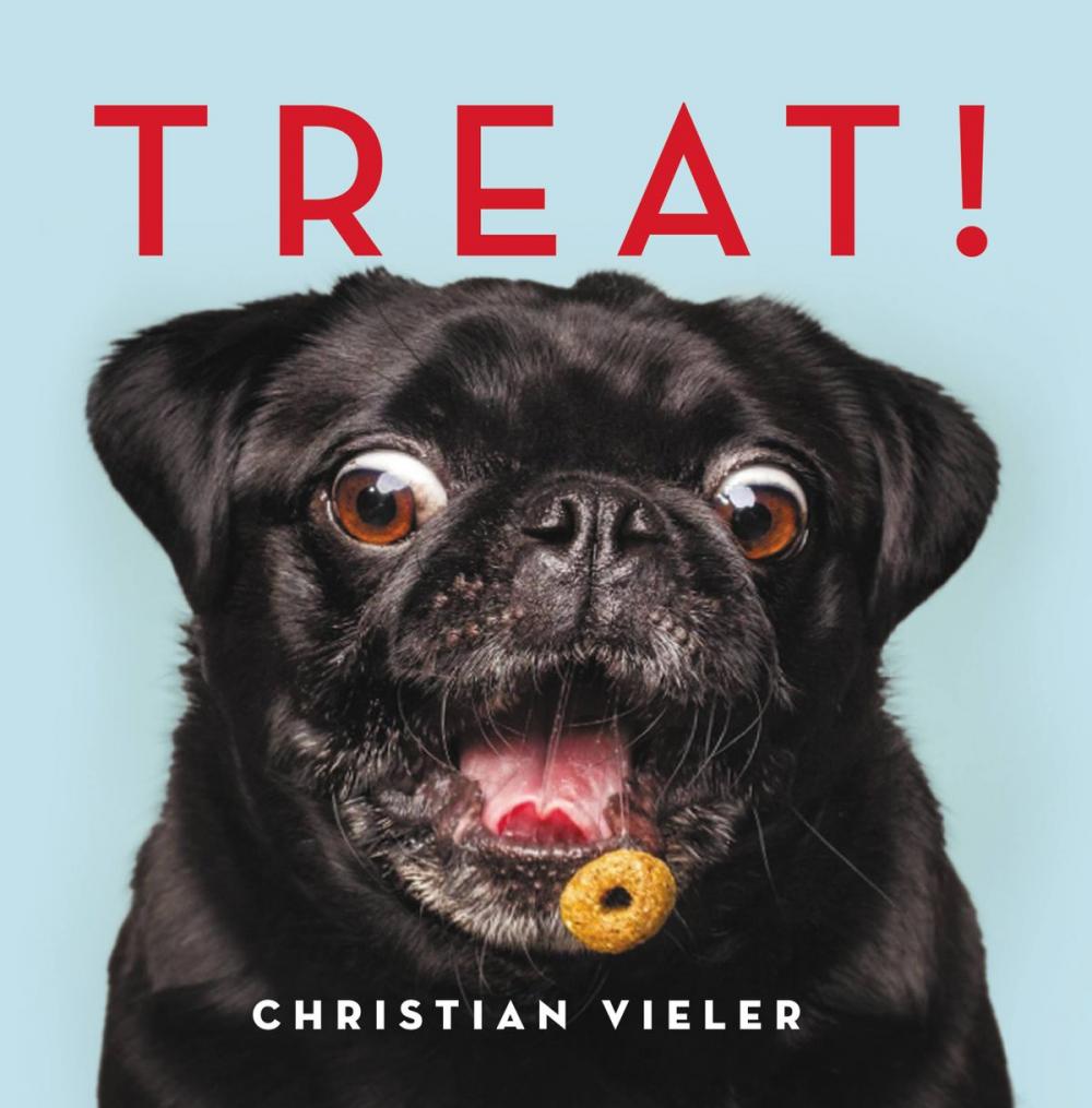 Big bigCover of Treat!