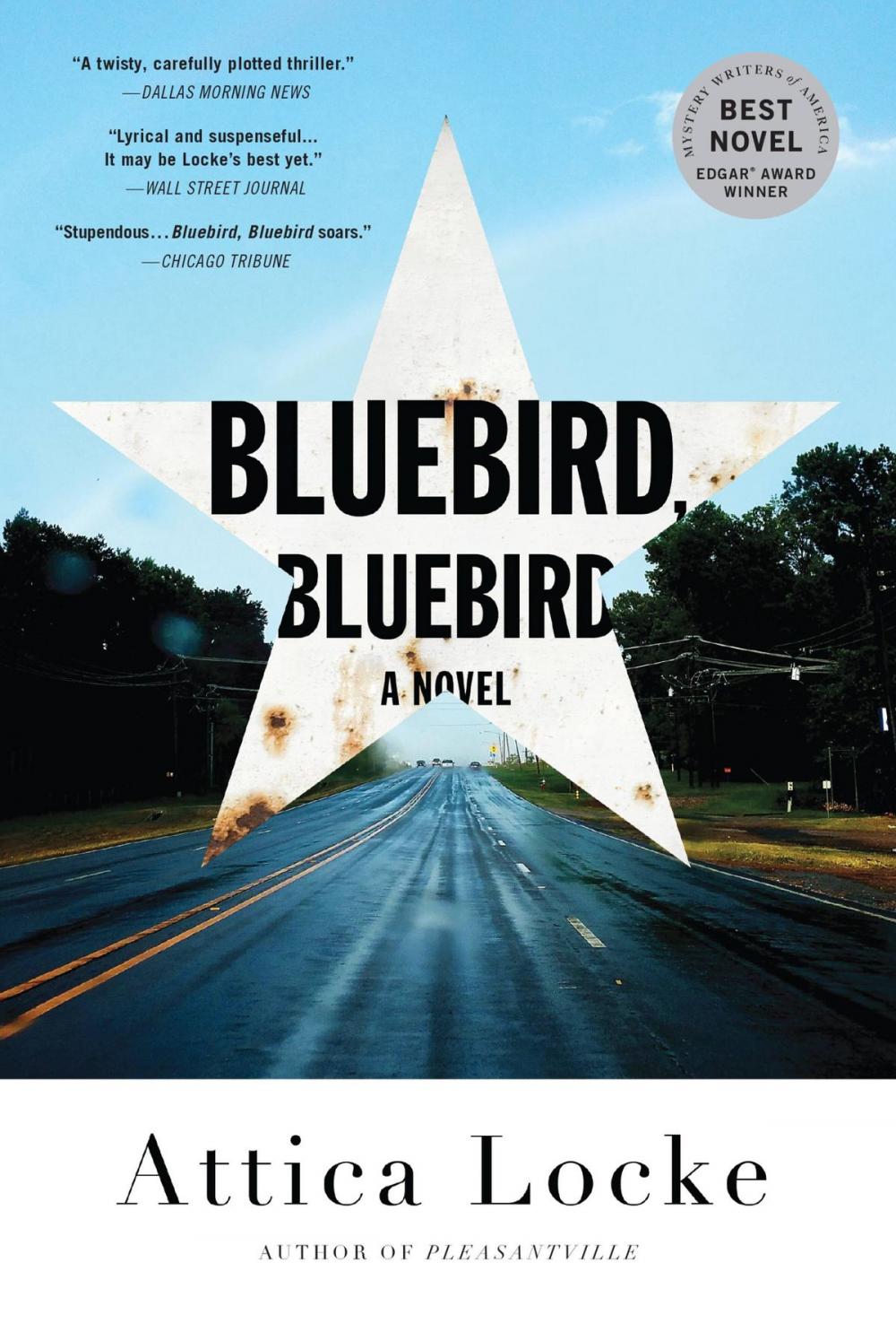 Big bigCover of Bluebird, Bluebird