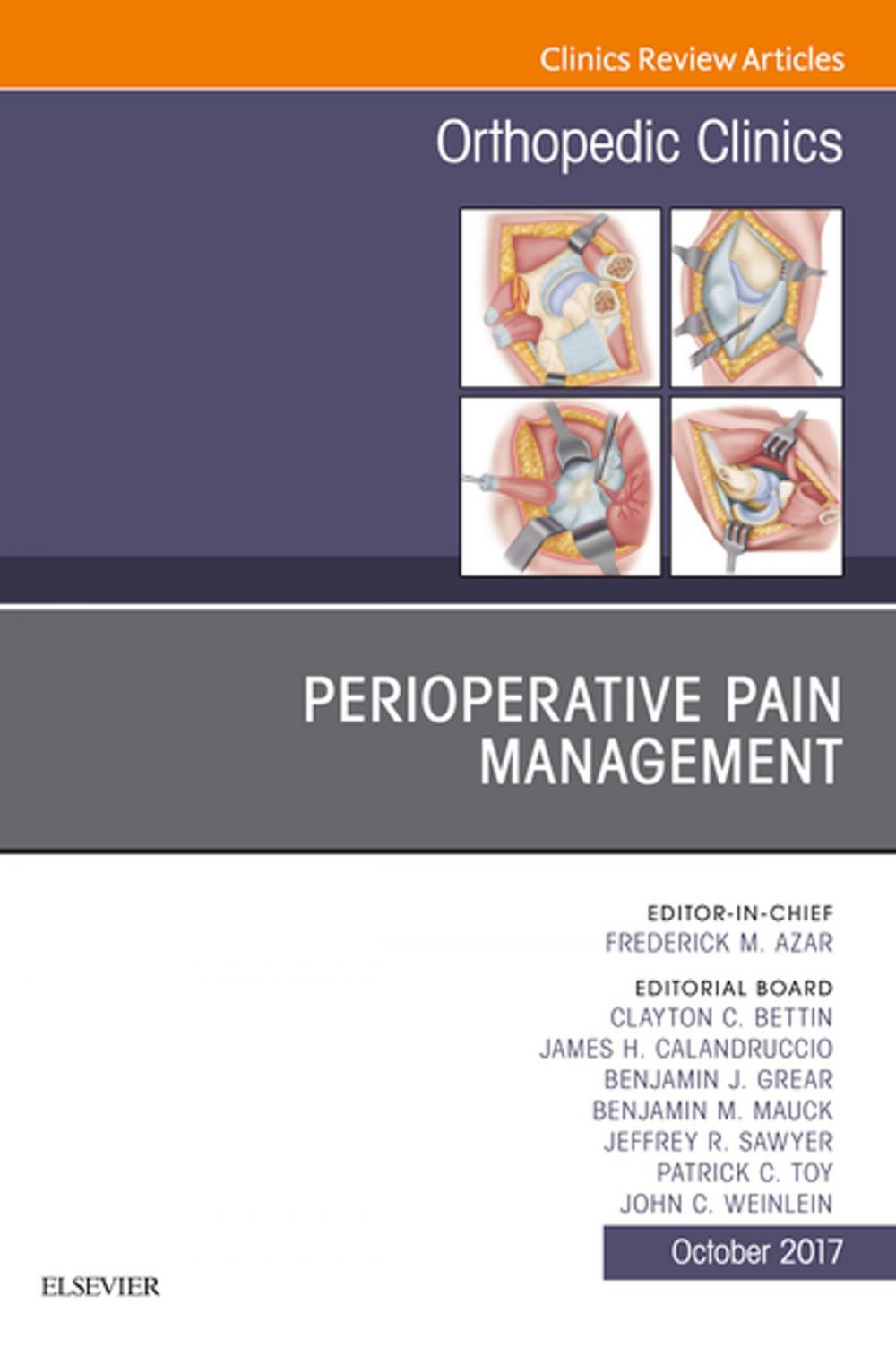 Big bigCover of Perioperative Pain Management, An Issue of Orthopedic Clinics, E-Book