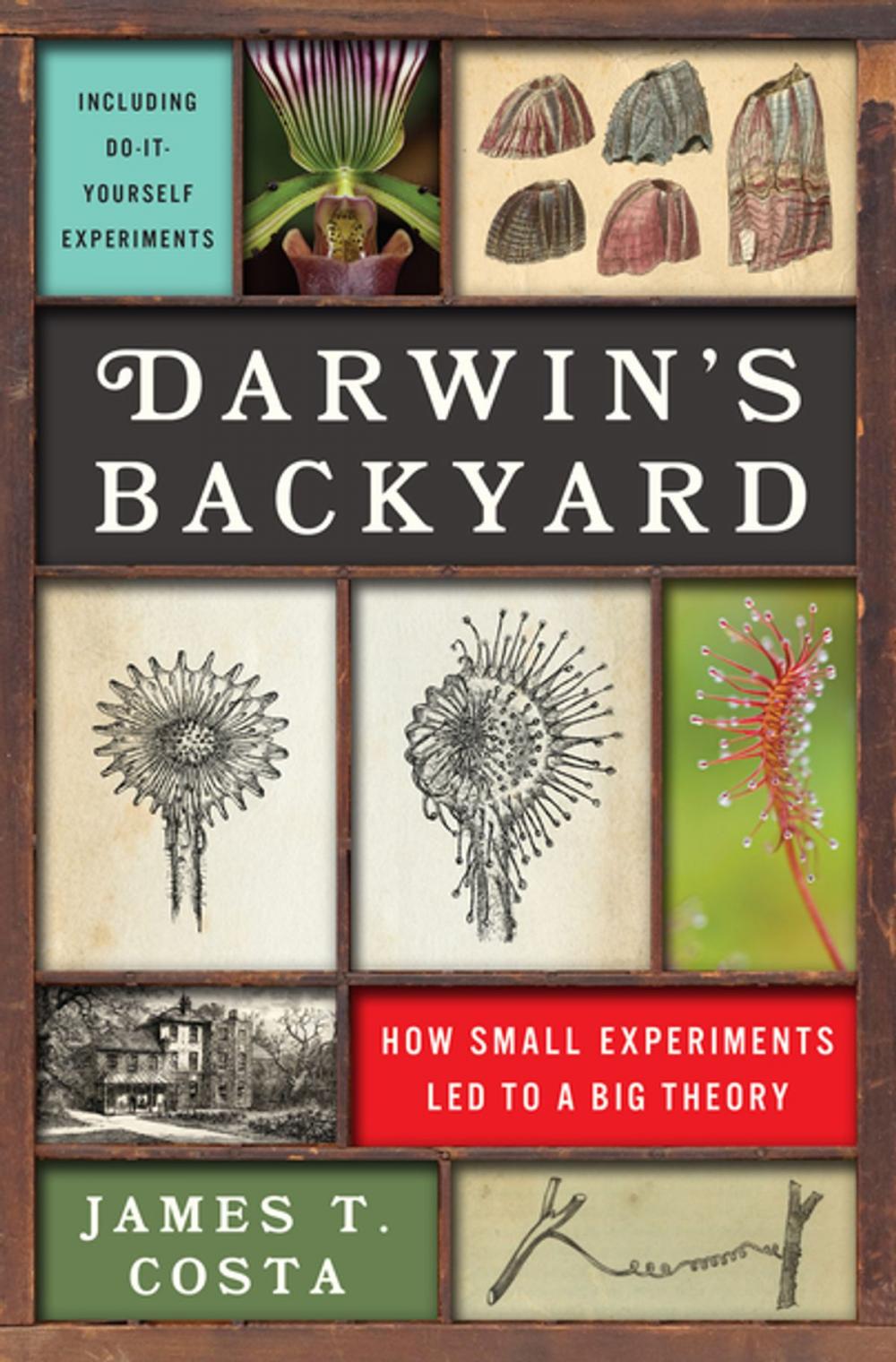 Big bigCover of Darwin's Backyard: How Small Experiments Led to a Big Theory