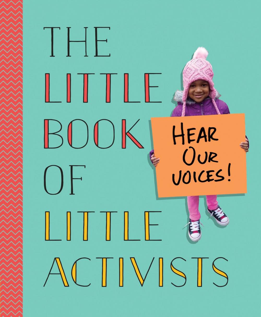 Big bigCover of The Little Book of Little Activists