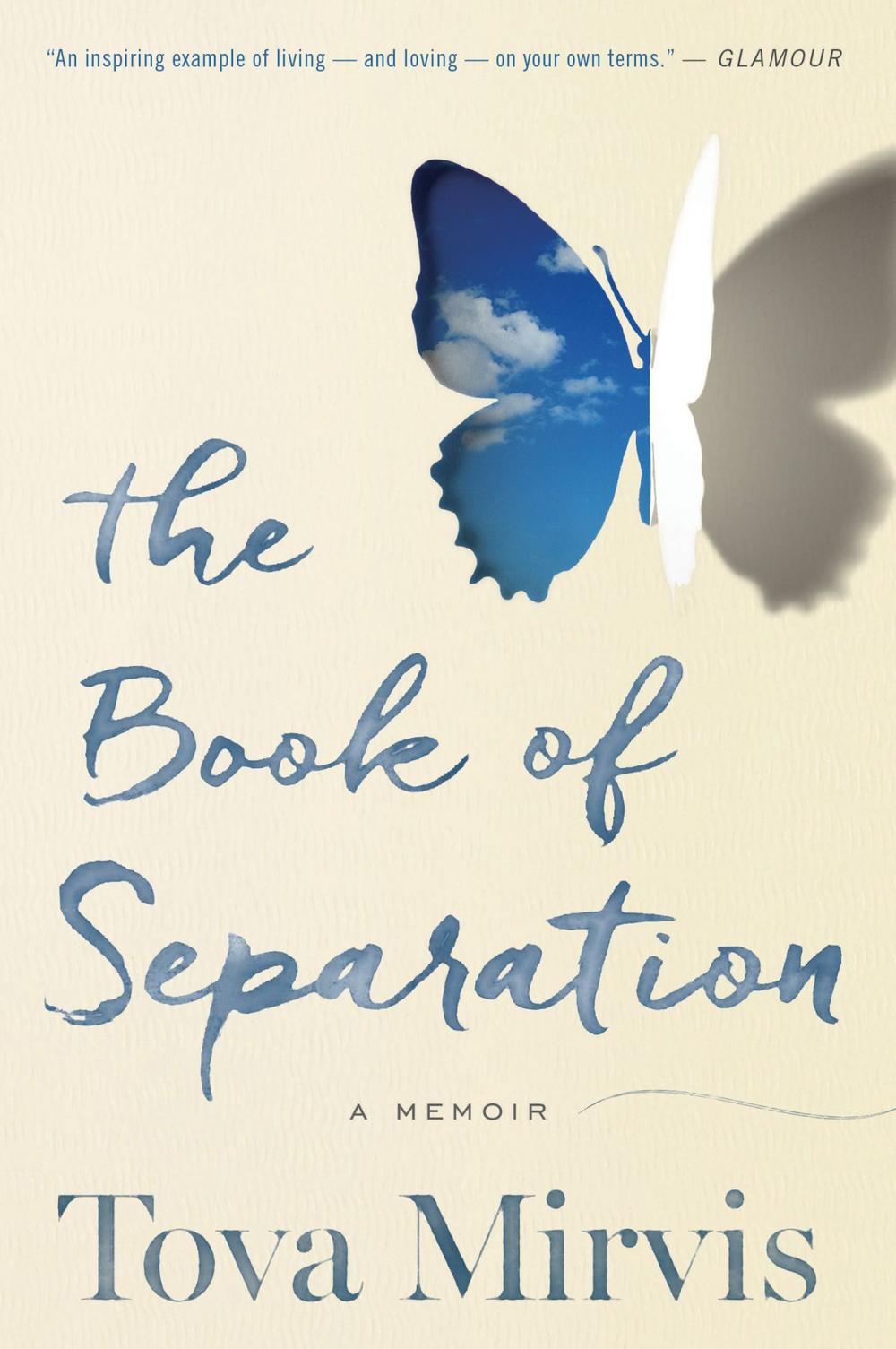 Big bigCover of The Book of Separation