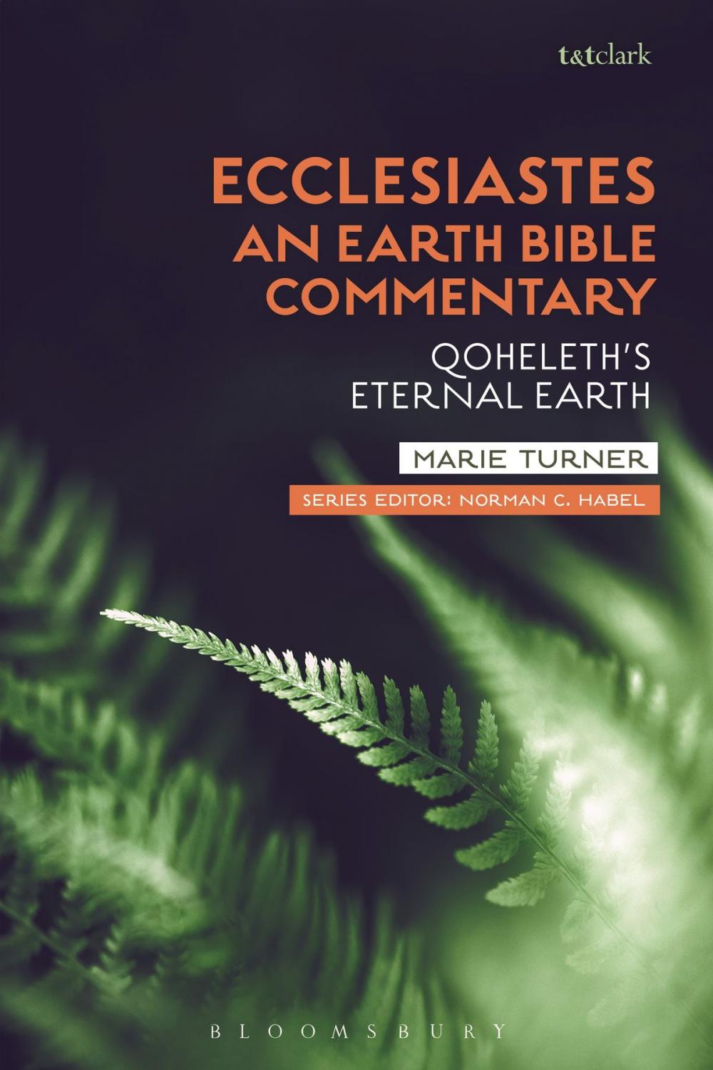 Big bigCover of Ecclesiastes: An Earth Bible Commentary