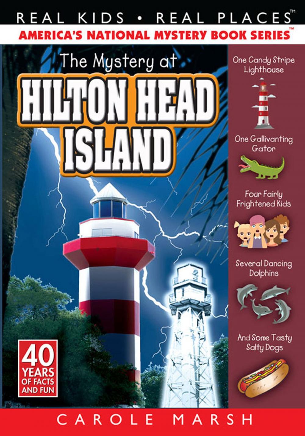 Big bigCover of The Mystery at Hilton Head Island