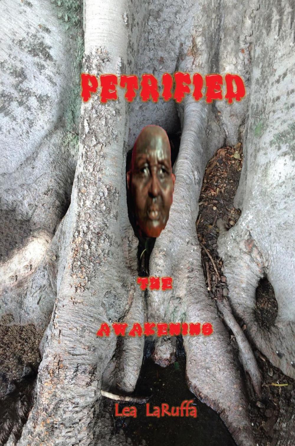 Big bigCover of Petrified