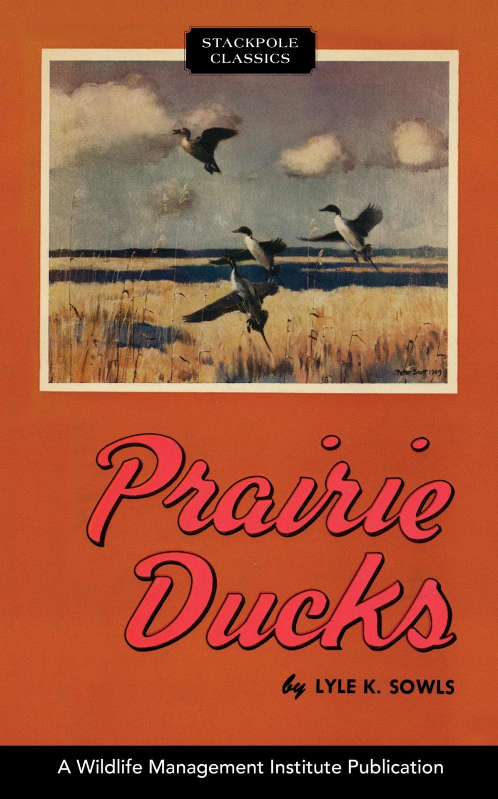 Big bigCover of Prairie Ducks