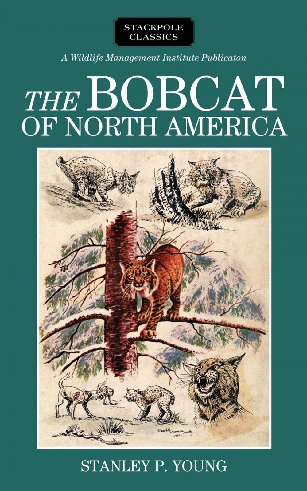 Big bigCover of The Bobcat of North America