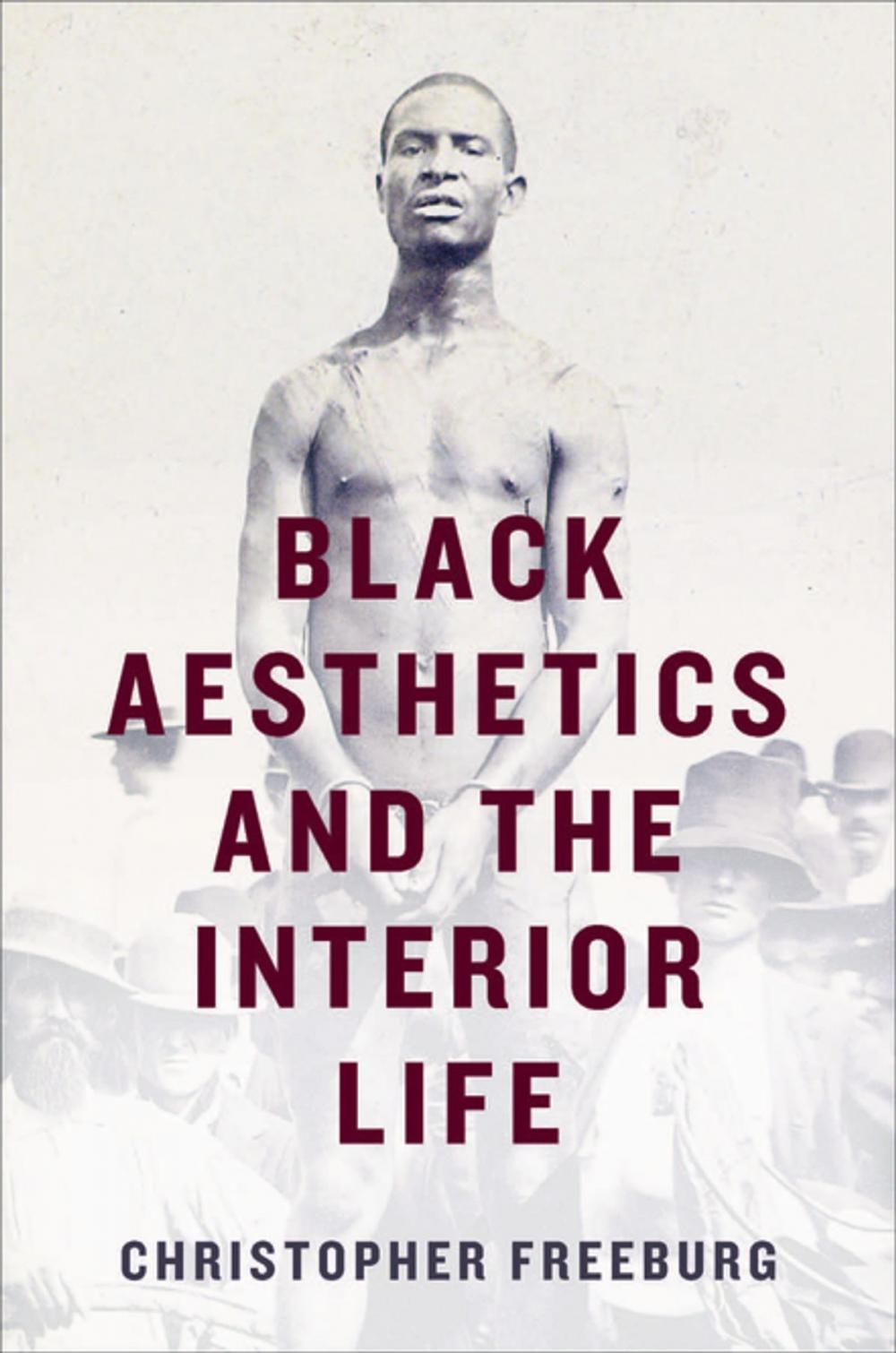 Big bigCover of Black Aesthetics and the Interior Life