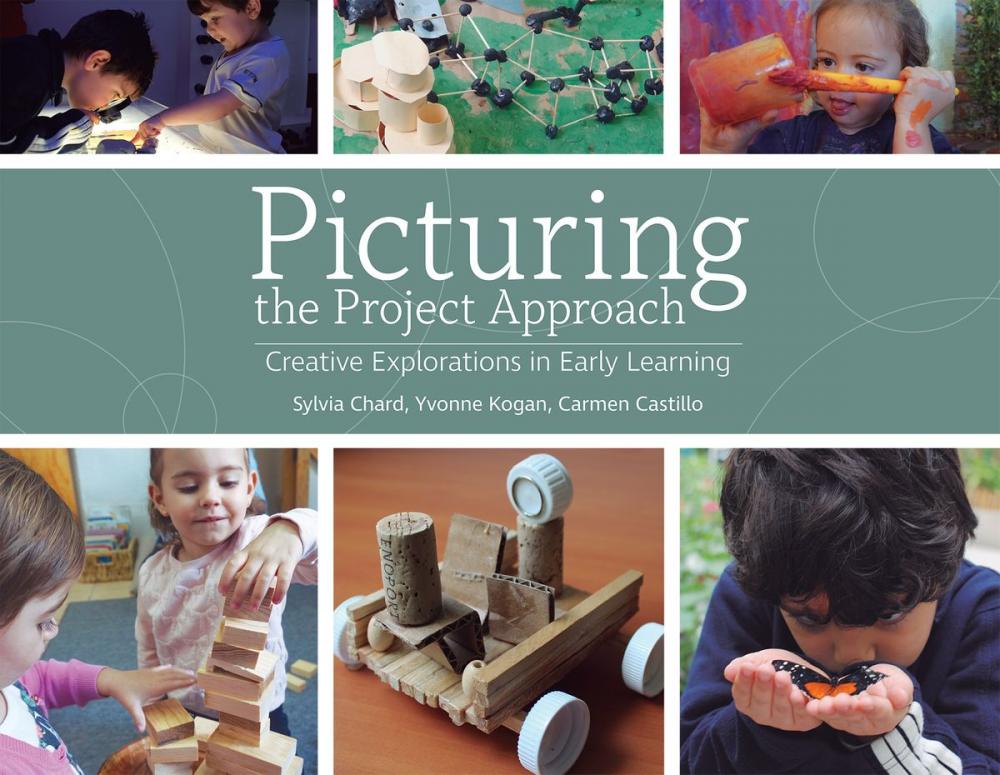 Big bigCover of Picturing the Project Approach