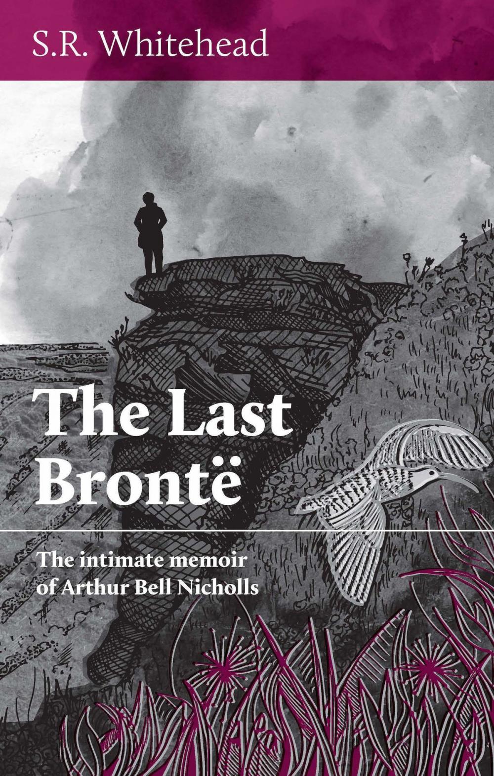 Big bigCover of The Last Bronte