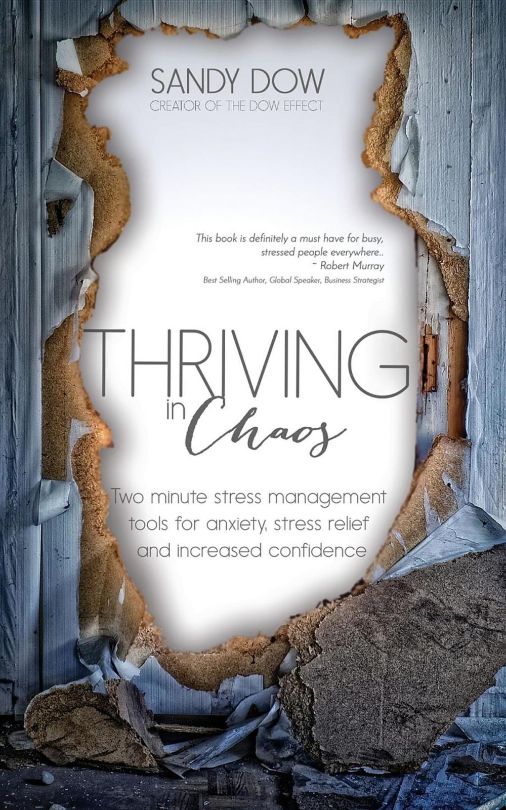 Big bigCover of Thriving in Chaos