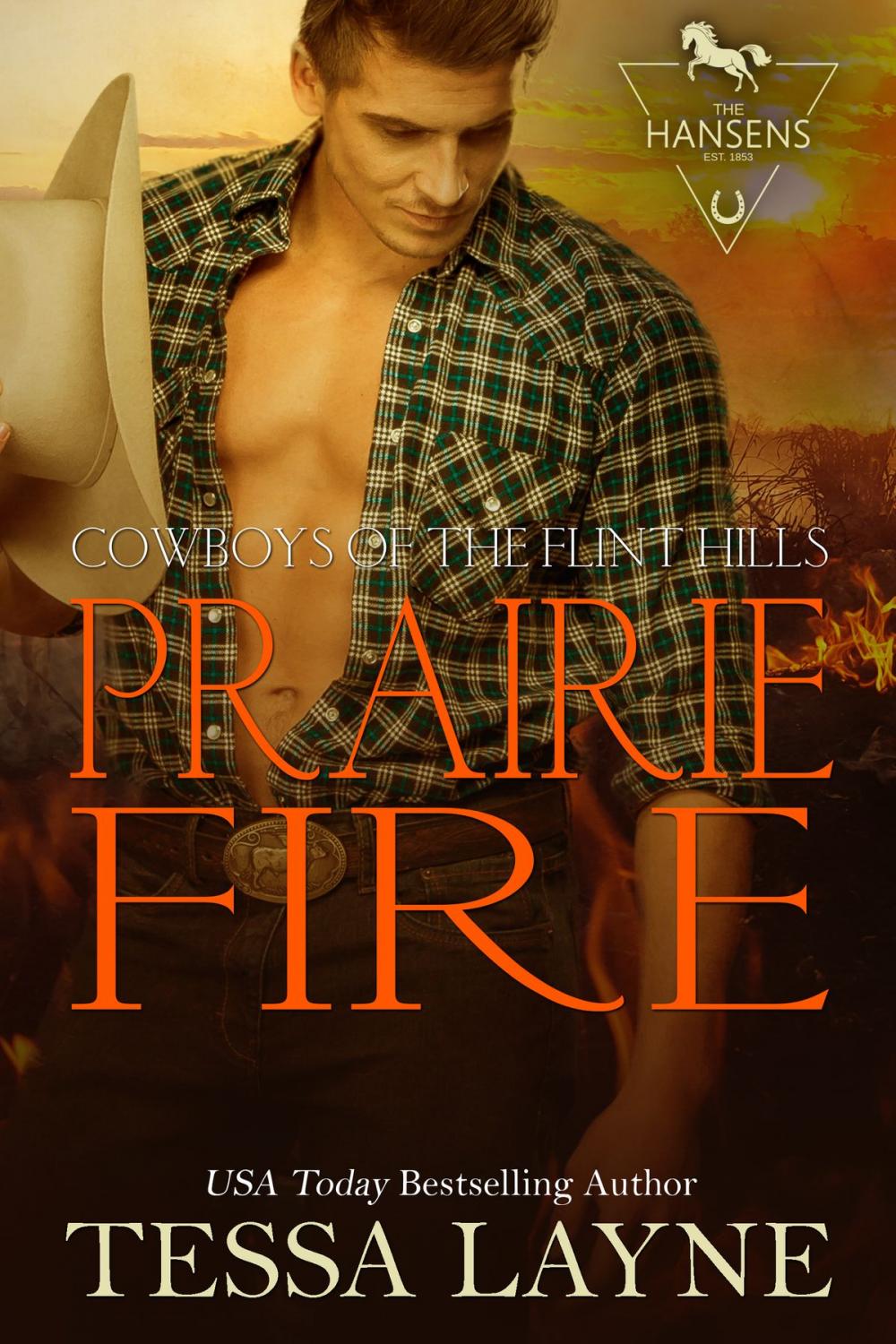 Big bigCover of Prairie Fire