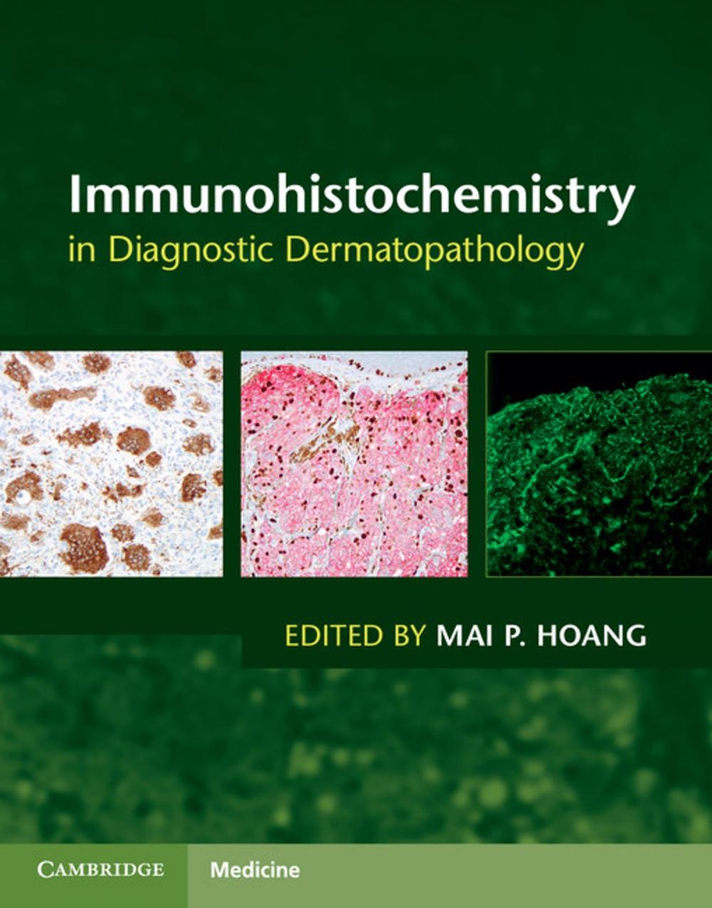 Big bigCover of Immunohistochemistry in Diagnostic Dermatopathology