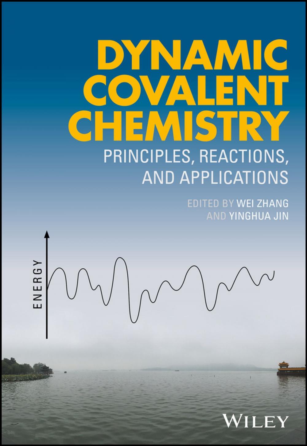 Big bigCover of Dynamic Covalent Chemistry