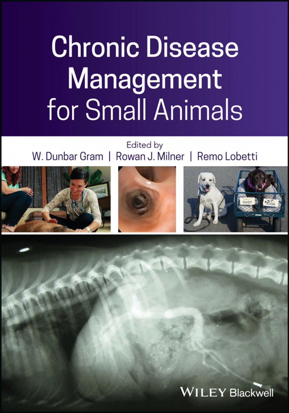 Big bigCover of Chronic Disease Management for Small Animals