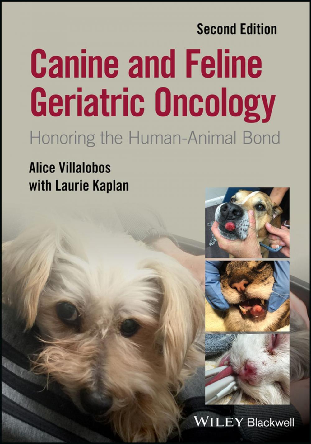 Big bigCover of Canine and Feline Geriatric Oncology