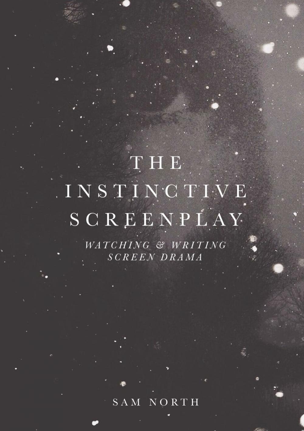 Big bigCover of The Instinctive Screenplay