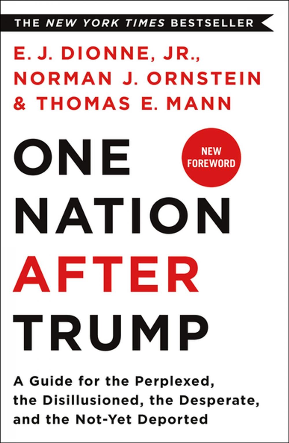 Big bigCover of One Nation After Trump