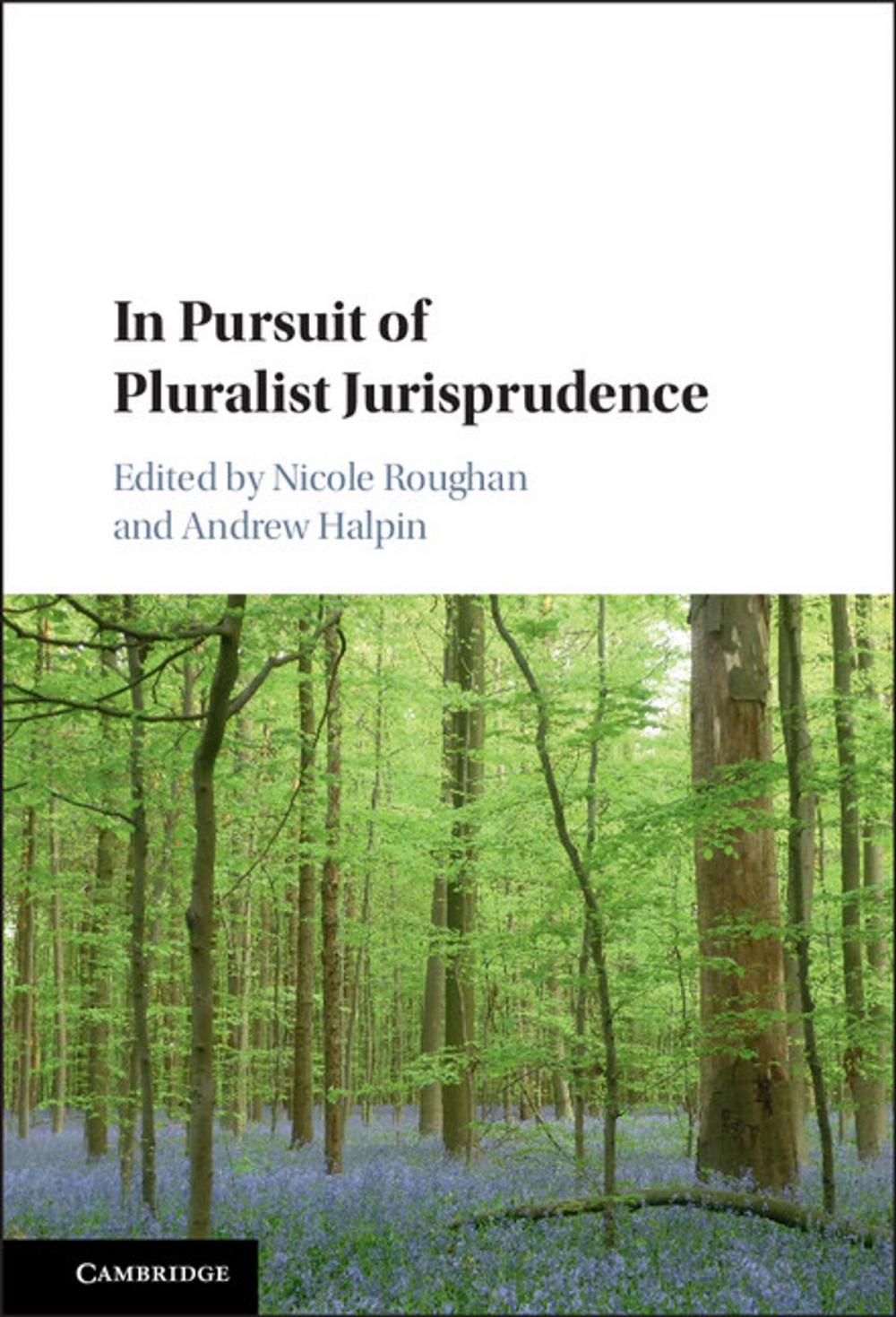 Big bigCover of In Pursuit of Pluralist Jurisprudence