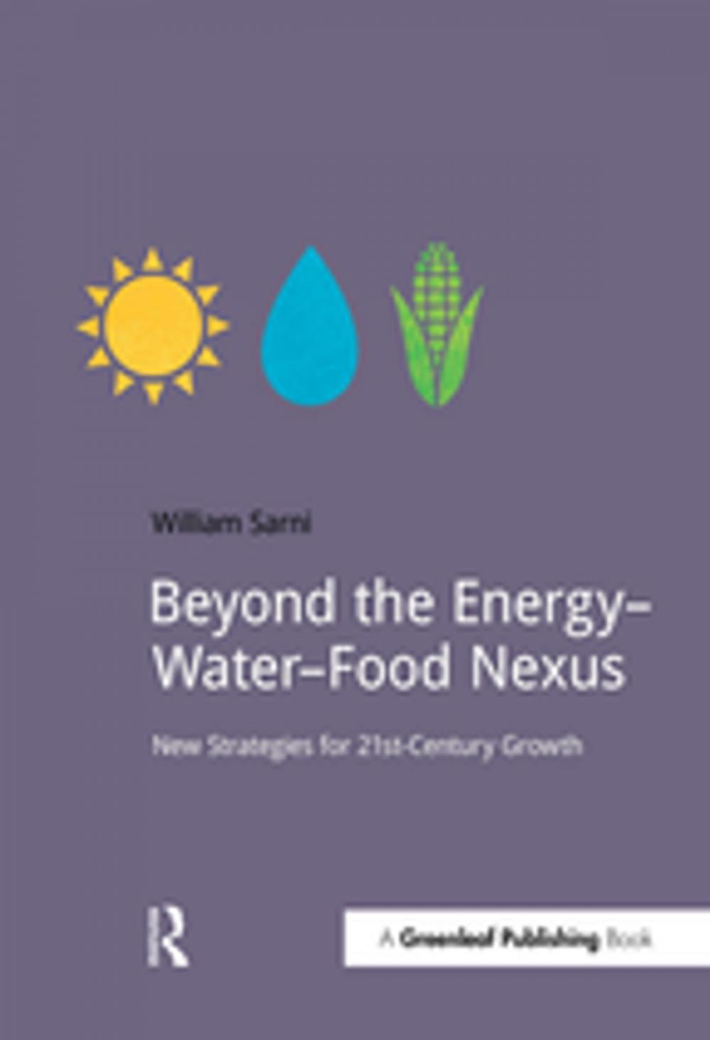 Big bigCover of Beyond the Energy–Water–Food Nexus