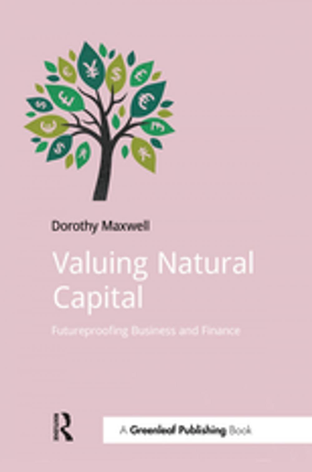 Big bigCover of Valuing Natural Capital