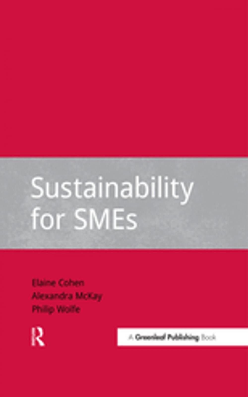 Big bigCover of Sustainability for SMEs